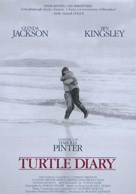 Turtle Diary